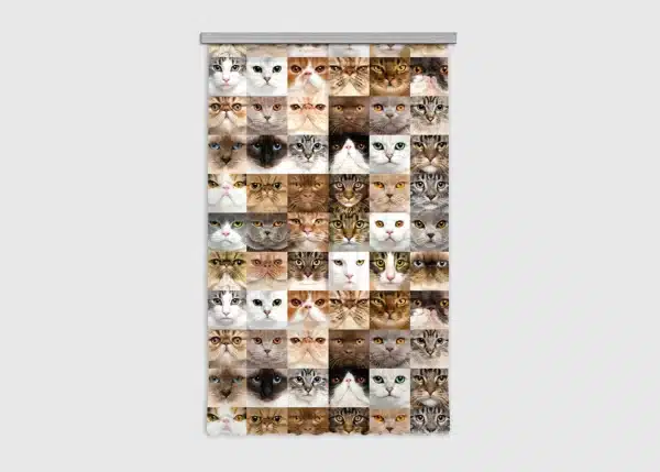 Curtain Cats, 140 x 245 cm, FCSL 7567