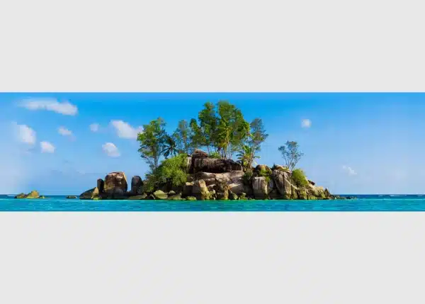 Wall Border Tropical Haven | 5 m x 13.8 cm | WB 8203
