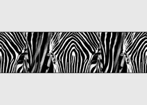 Wall Border Safari Stripes | 5 m x 13.8 cm | WB 8205