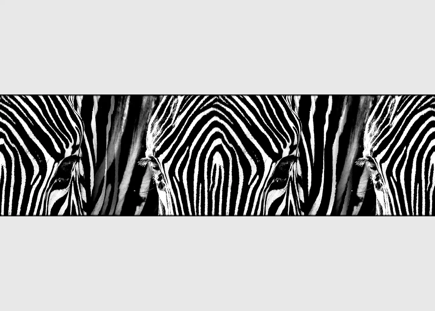 Wall Border Safari Stripes | 5 m x 13.8 cm | WB 8205