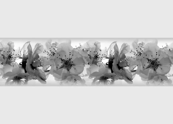 Wall Border Elegant Orchid | 5 m x 13.8 cm | WB 8208