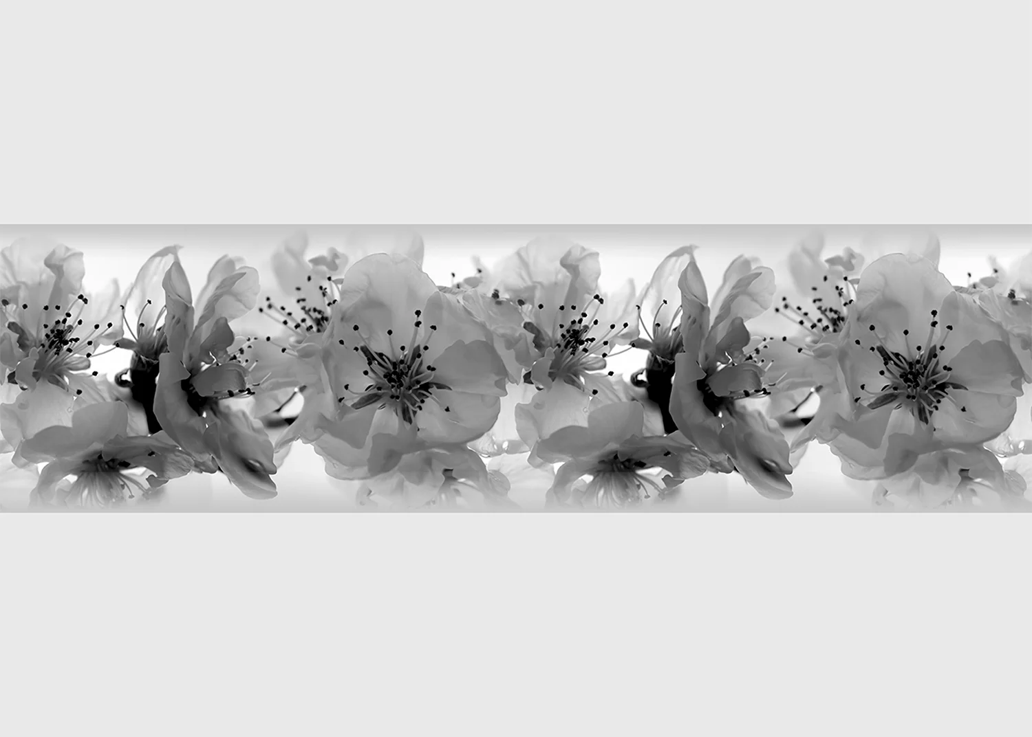 Wall Border Elegant Orchid | 5 m x 13.8 cm | WB 8208