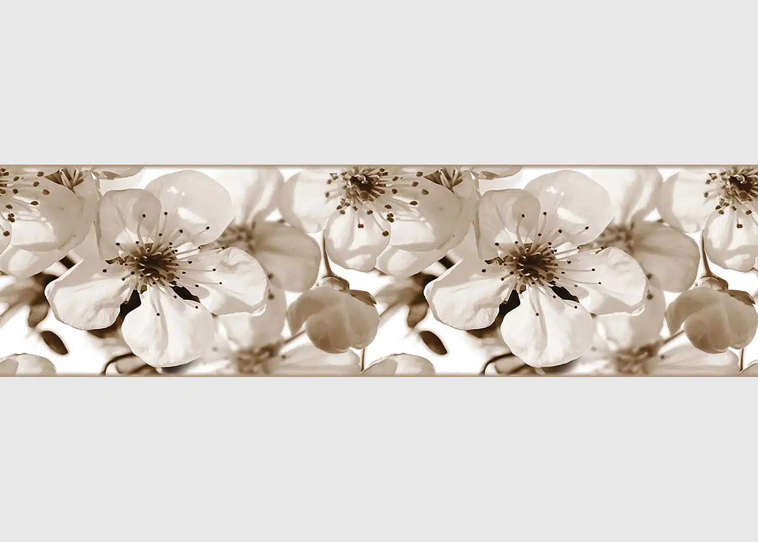 Wall Border Sepia Brilliance | 5 m x 13.8 cm | WB 8216