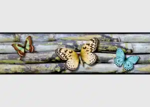 Wall Border Mesmerizing Butterflies | 5 m x 13.8 cm | WB 8238